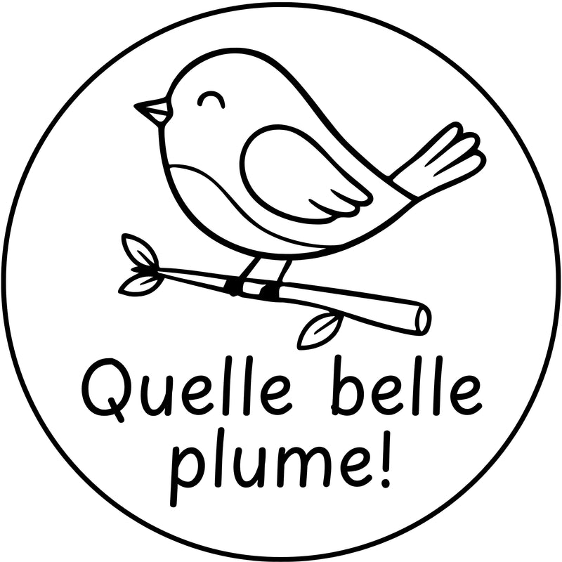 Étampе pour enseignant « Quelle belle plume! »